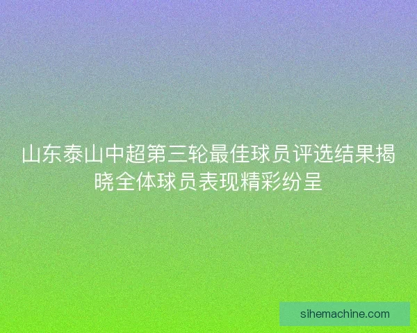 山东泰山中超第三轮最佳球员评选结果揭晓全体球员表现精彩纷呈